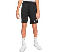 Nike Dri Fit Park 3 Shorts