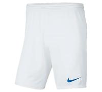 Nike Dri-fit Park 3 Shorts