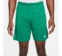Nike Dri-fit Park 3 Shorts