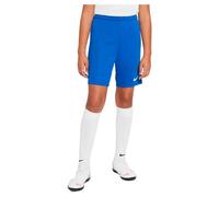 Nike Dri Fit Park 3 Shorts
