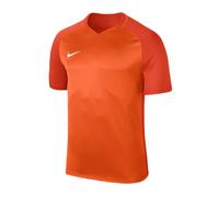 Nike Dry Trophy III Jersey M 881483-815