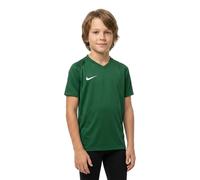 Nike Dry Trophy Iii Short Sleeve T-shirt Green 12 Years Boy