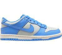 Nike Dunk Low Kids Silver C004