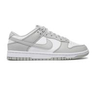 Nike Dunk Low Retro M DD1391-103 shoes