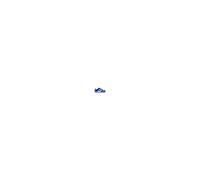 Nike Dunk Low Trainers White/Hyper Royal UK 12C