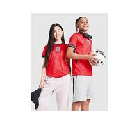 Nike Kids ENT Dri-Fit SS Stadium Away Jersey, Speed Red/Obsidian/White/Obsid, 7/8 Years