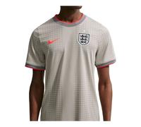 Nike England x Palace CryoShot Academy Pro T-Shirt 'Pewter Grey Bright Crimson' IH1670-052 M