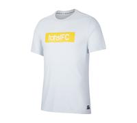 Nike F.c. Dri-fit T-shirt Grey C043