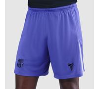 Nike FC Barcelona 25 26 Dri FIT Stadium Away GK Shorts