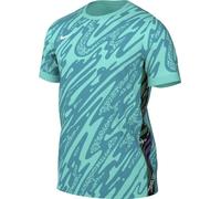 Nike FD7482-354 M NK DF GARDIEN V GK JSY SS Sweatshirt Men's Hyper Turq/Teal Nebula/White Size XL