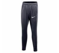 Nike Dri-fit Academy Pro 24 Pants Grey 5-6 Years Kids