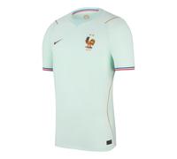 Nike FFF 2026 Stadium Away Dri-FIT Replica Jersey 'Igloo Monarch' IB5367-394 M