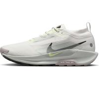 NIKE FQ0908-102 Pegasus Trail 5 Gore-TEX Men Summit White/Sequoia-Light Silver UK 10