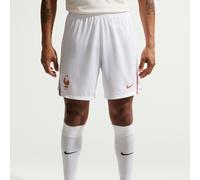 Nike France 26 Home Football Shorts Large