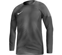 Nike Gardien IV Goalkeeper JSY M DH7967 060 goalkeeper shirt