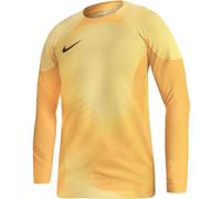 Nike Gardien IV Goalkeeper JSY M DH7967 719 goalkeeper shirt