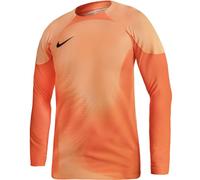 Nike Gardien IV Goalkeeper JSY M DH7967 819 goalkeeper jersey