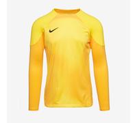 Nike Gardien IV LS GK Shirt