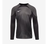 Nike Gardien IV LS GK Shirt