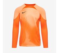 Nike Gardien IV LS GK Shirt