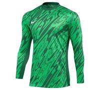 Nike Gardien V GK Jersey L/S - Green Spark/Pine Green/White