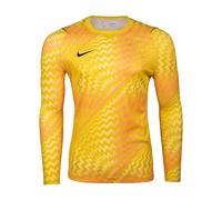 NIKE Gardien VI Long Sleeve Goalkeeper Shirt Multi-Coloured