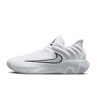 Nike Giannis Immortality 4 'Pure Platinum Black' FQ3680-100 10.5