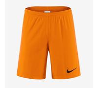 Nike Junior Park III Shorts