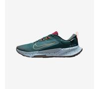 Nike Juniper Trail 2 Gore-Tex Men's Trainers Sneakers Trail Running Shoes