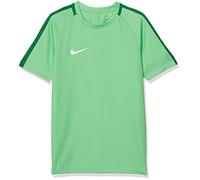 Nike Kids Dry Academy 18 Short Sleeve Top - Light Green Spark/Pine Green/White, X-Small