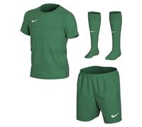 Nike Kids' LK NK DRY PARK20 KIT SET K Football, Pine Green/Pine Green/(White), XS