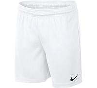 Nike Kids Park II Knit (No Briefs) Shorts - Tm Pewter/(Black), Large