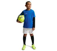 NIKE Kids Park VIII Short Sleeve Jersey Royal Blue/White