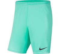 Nike Kids Unisex Park Shorts Junior in Turquoise - Size 10-12Y