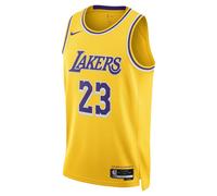 Nike LA Lakers LeBron James NBA Icon Edition Swingman Jersey L Lakers/James
