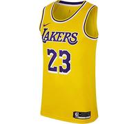 Nike NBA Los Angeles Lakers LeBron James Swingman Jersey - Icon Edition XX Large