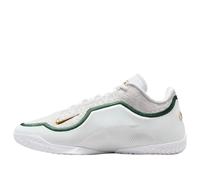 Nike LeBron 23 'From This Point Forward' HJ5629-101 11.5