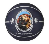 Nike Playground Lebron James 8p Basketball F506