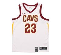 Nike LeBron James Association Edition WhiteRedGold 864409-100 M