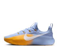 Nike LeBron TR 1 'Aluminium University Gold' FJ6151-401 9.5
