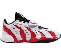 Nike Lebron Xxi Prime 96 White C100