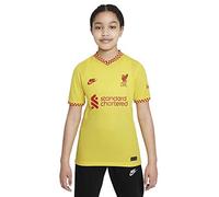 Nike - liverpool 2021/22 Season Jersey Other Game Equipment, XL, Unisex
