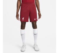 NIKE Liverpool, Men's Shorts, 2022/23 Season Official Home