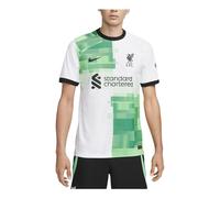 Nike Liverpool FC 23/24 Match Away 'White Green Spark Black' DX2617-101 XL