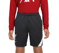 NIKE LIVERPOOL FC ACADEMY PRO DRI FIT FOOTBALL SHORTS DD2998-060 - BOYS GIRLS XL