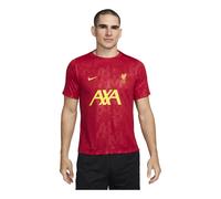 Nike Liverpool FC Academy Pro Dri-FIT Soccer Pre-Match T-shirt 'Red' FN9653-688 M