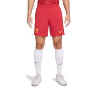 Nike Liverpool FC Men's Dri-Fit Shorts Stadium Home, Gym Red/White/Chrome Yellow, FN8863-687, XL