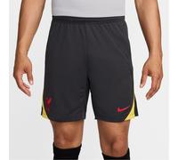 Nike Liverpool Strike Third Shorts 2024 2025 Adults L Grey
