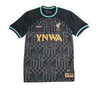 Nike Liverpool x Lebron 23-24 Fourth Jersey 'Black' FZ3199-011 XL