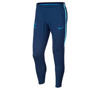 NIKE Men Fcb M Nk Dry SQD Pant Kp Pants - Coastal Blue/Vivid Sky/Equator, Large